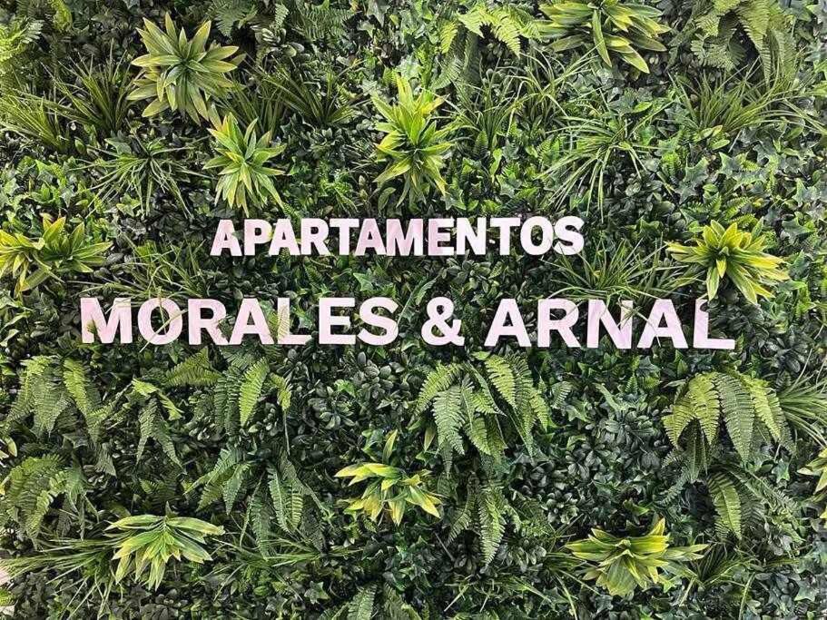 XX D Apartamentos Morales & Arnal Ронда Екстериор снимка